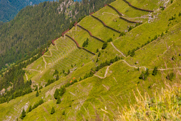 Similar image 21265707