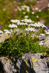 Similar image 21266616