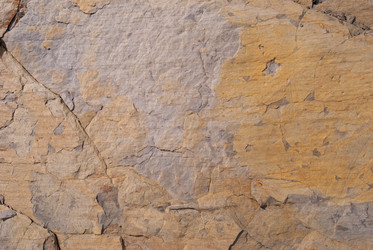 Similar image 21266618