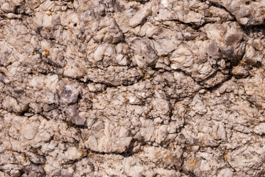 Similar image 21260436