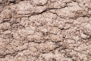 Similar image 21260438