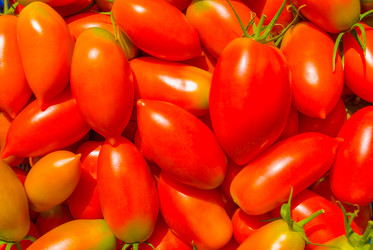 Similar image 21260805