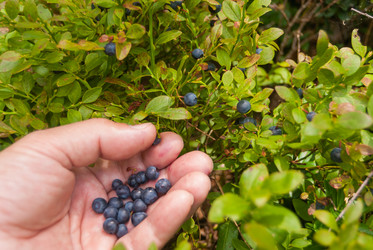 Similar image 21260809