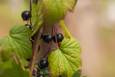 Similar image 21260810