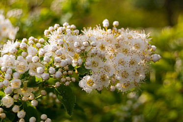 Similar image 21263874