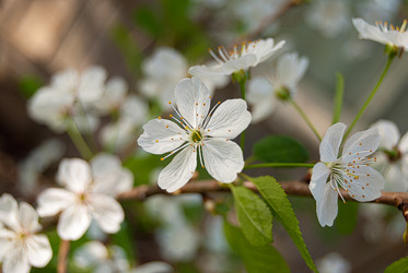 Similar image 21263875