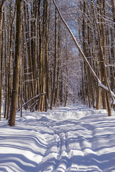 Similar image 21265715