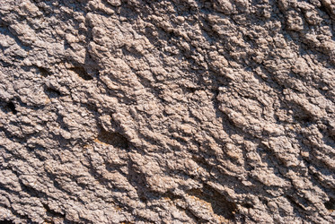 Similar image 21260817