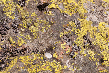 Similar image 21260819