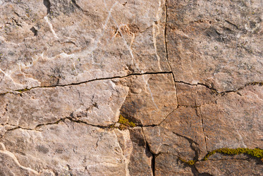 Similar image 21260820