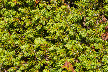 Similar image 21260822