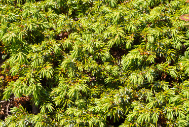 Similar image 21260824