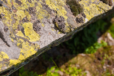 Similar image 21260825