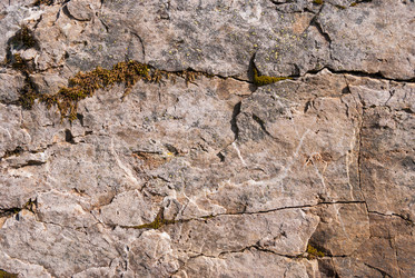 Similar image 21260826