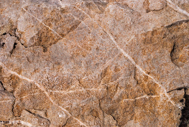 Similar image 21260829