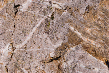 Similar image 21260830