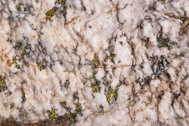 Similar image 21261017