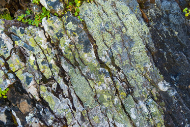 Similar image 21261020