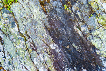 Similar image 21261021