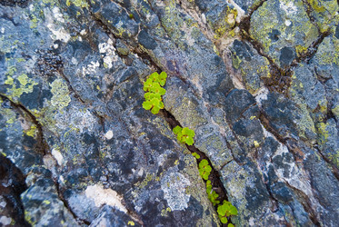 Similar image 21261902