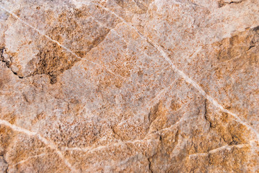 Similar image 21263289