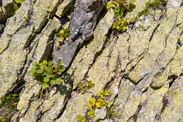 Similar image 21263290