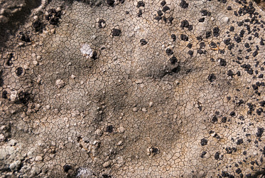 Similar image 21263879