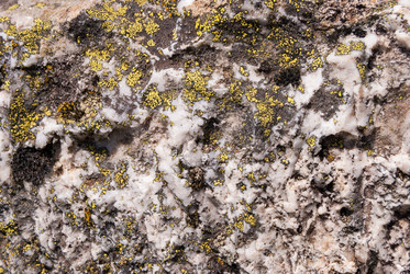 Similar image 21263880