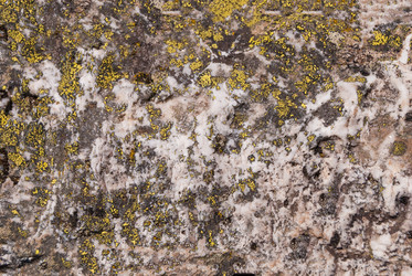 Similar image 21263882