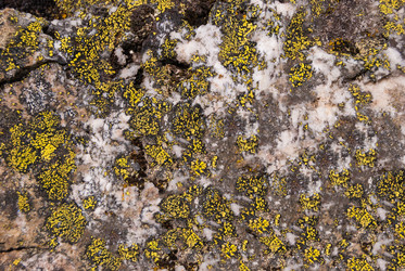 Similar image 21263884