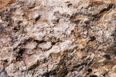 Similar image 21263885