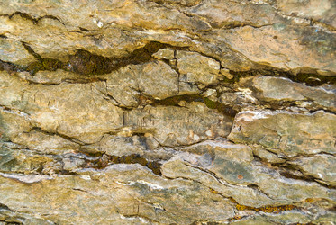 Similar image 21263886