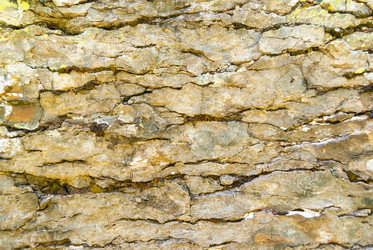 Similar image 21264657