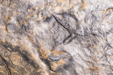 Similar image 21264658