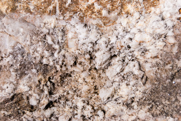 Similar image 21265721