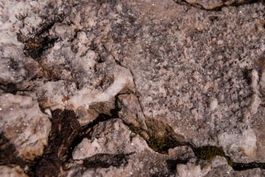 Similar image 21265722