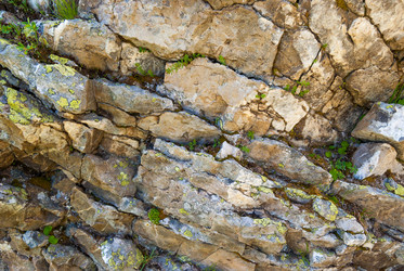 Similar image 21265724