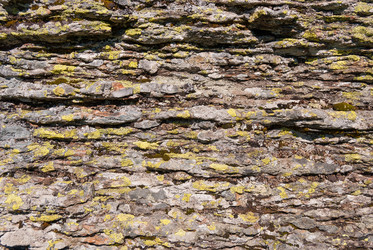 Similar image 21266623