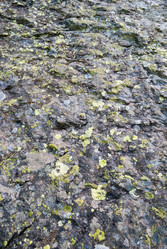 Similar image 21266624