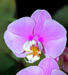 Similar image 21266627