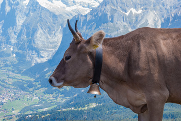 Similar image 21260448