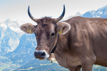 Similar image 21260452