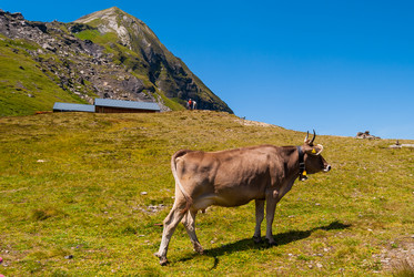 Similar image 21260454