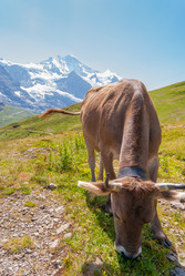 Similar image 21260455