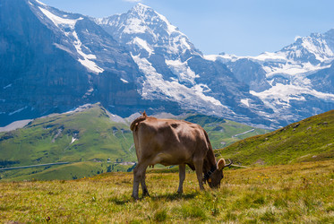 Similar image 21260833