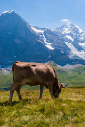 Similar image 21260835