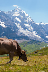 Similar image 21260837