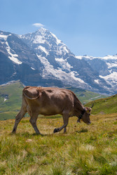 Similar image 21260839