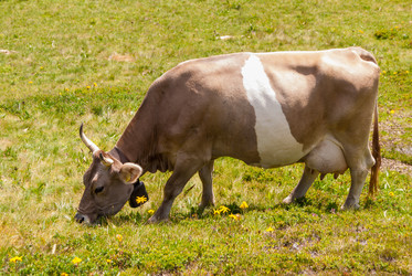 Similar image 21260841