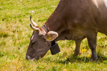 Similar image 21260843